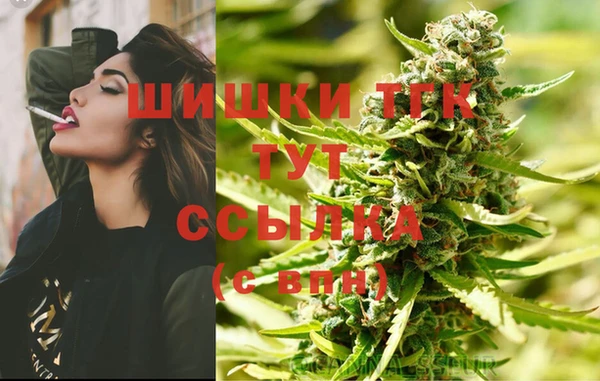 прущие грибы Армянск
