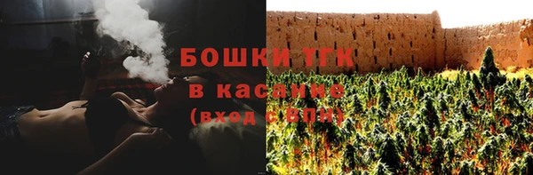прущие грибы Армянск