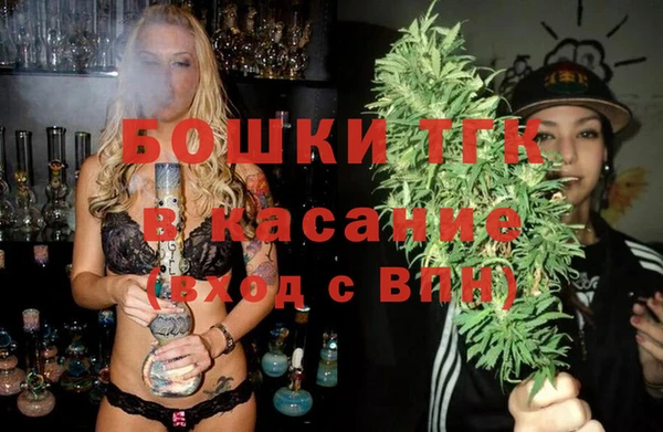 прущие грибы Армянск