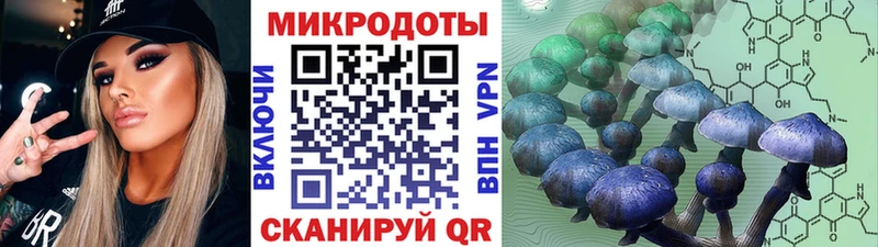 закладки  Буй  Псилоцибиновые грибы прущие грибы 